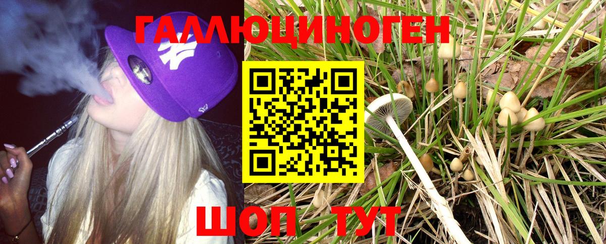 Псилоцибиновые грибы Psilocybine cubensis Печора