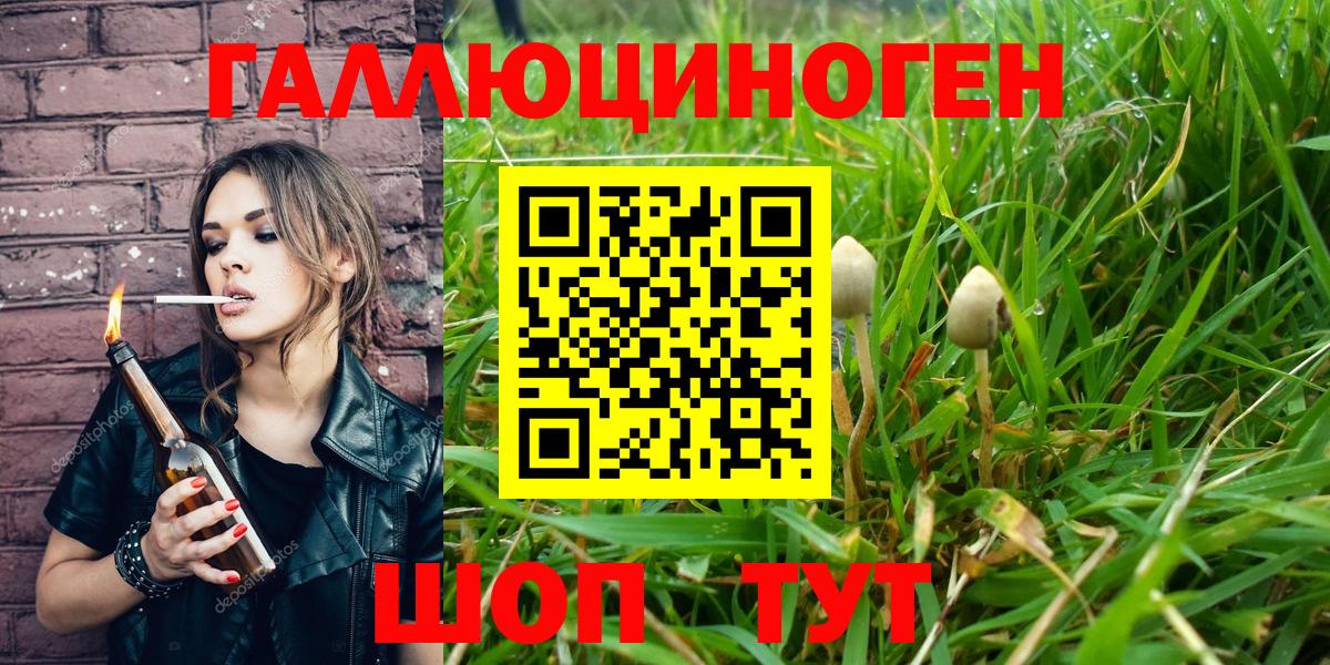 Печора  Псилоцибиновые грибы ЛСД  Вход с VPN 